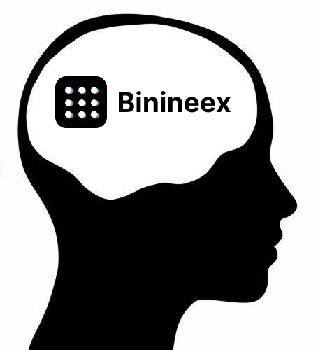 Binineex tweet media