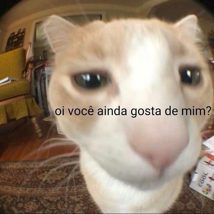 Acervo Settrigh 👊 tweet media