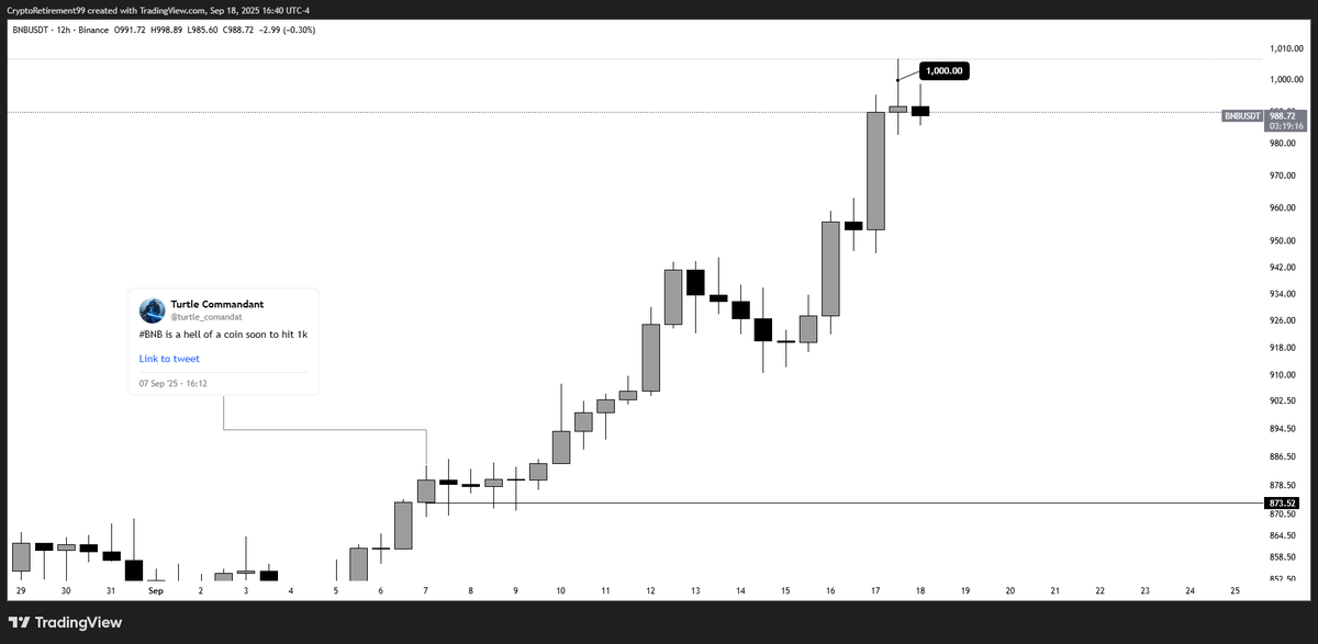 Turtle Commandant tweet media