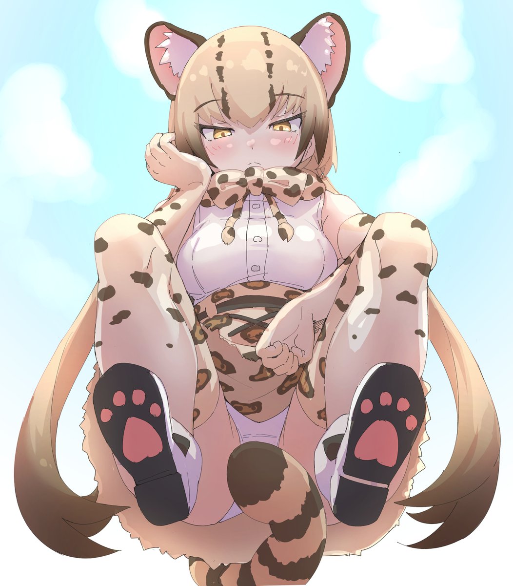 lowlandgorilla_'s tweet image. おでえばこ　しゃがみオセロット