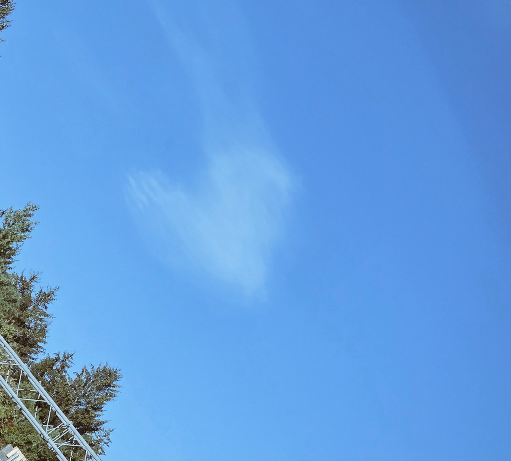 starrybytes's tweet image. must be my lil candy’s heart telling me i didn’t lose any part of mine… it’s been here all along. driving back home with her ashes… the heart hasn’t left the sky....❤️‍🩹💌