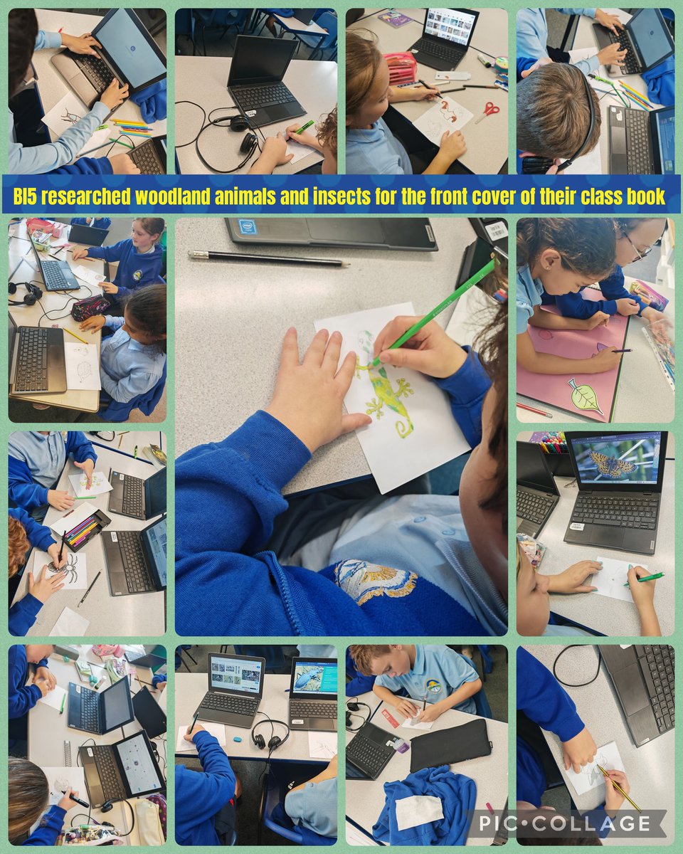 SwissValleyCP's tweet image. Bl5 researched woodland animals and insects to draw for the front cover of their class floor book
#SVCPOutdoors
#SVCPGardenAllotment
#InquiryBasedLearning