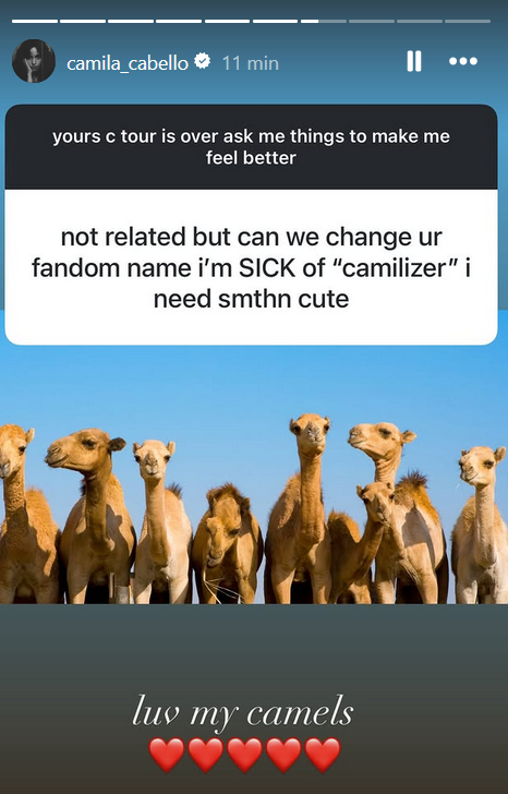 7thais71's tweet photo. Por favor, dejen de pedirle a Camila que nos cambie el nombre del fandom; que cada año su respuesta empeora, nos quiso poner "familia", ahora "🐫". Por favor, basta, la mente de ella trabaja de una manera rara, no la incentiven. https://t.co/xJV6LHn4j3