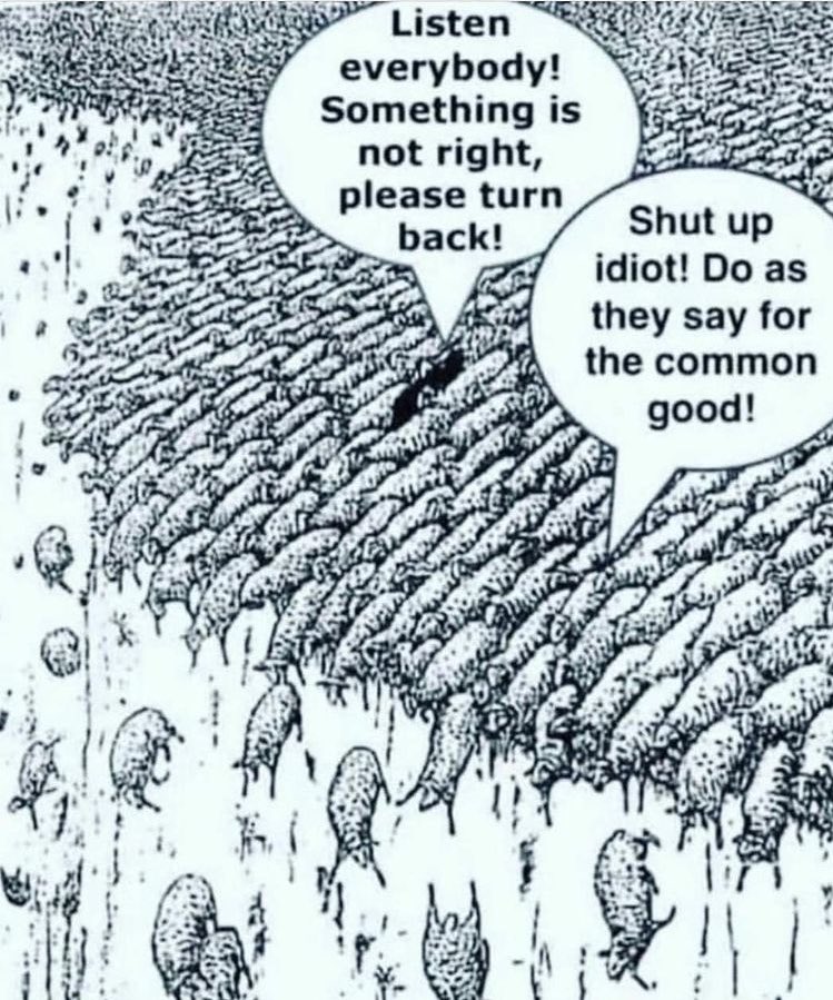 Now it's Maga