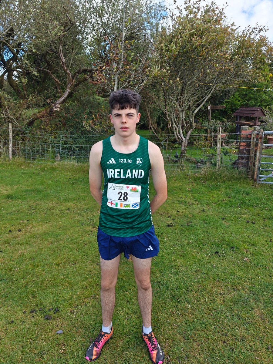 Niall Collins tweet media