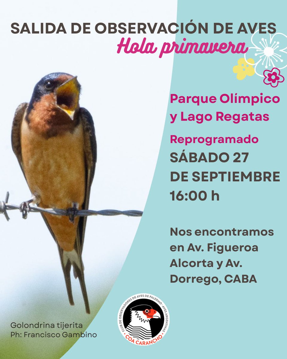 COA Carancho tweet media