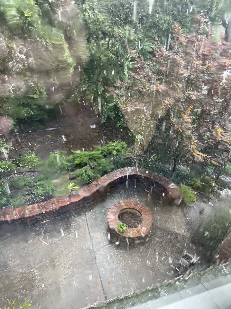 It’s hailing in NWA.  Hit me with a comment or like if you think this is ABNORMAL WEATHER.