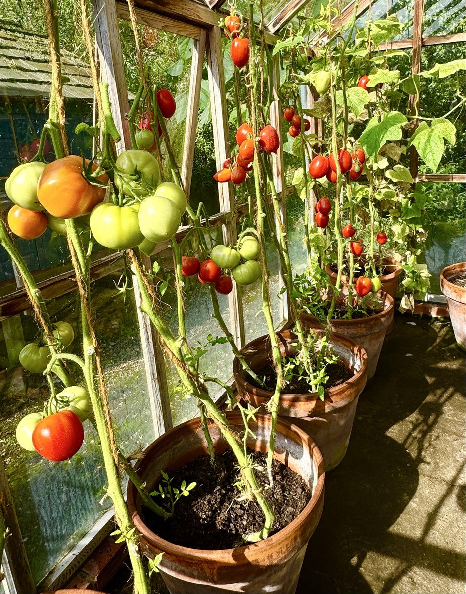 Emma Mitchell 💙 tweet media