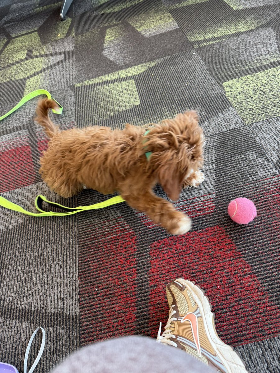 Sunshine ☀️ tweet media