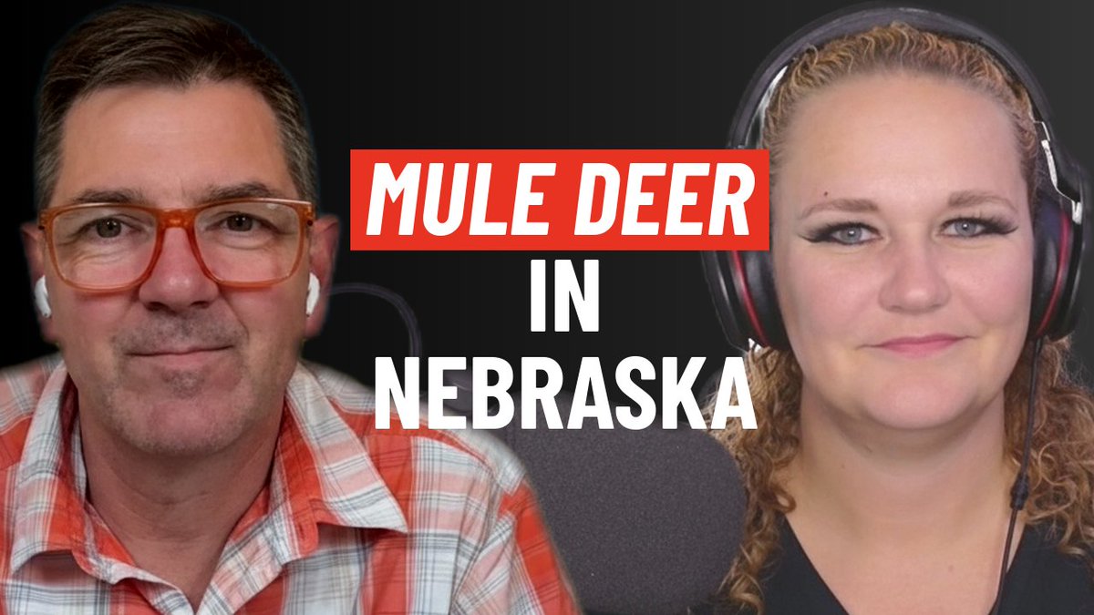HuntFishTravel's tweet image. Discover the thrill of mule deer hunting in Nebraska's vast landscapes! 🦌✨ Experience the adventure and beauty of the hunt. 

dts.podtrac.com/redirect.mp3/t…

#MuleDeerHunting #NebraskaWildlife #OutdoorAdventure 

More here: huntfishtravel.com/ep249/