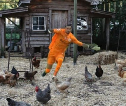 Florya Film Ödülleri (@filmflorya) on Twitter photo 