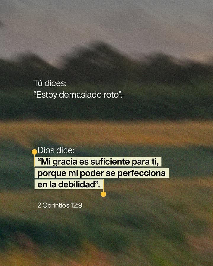 elsiervo__'s tweet photo. https://t.co/DTetY2zfKb