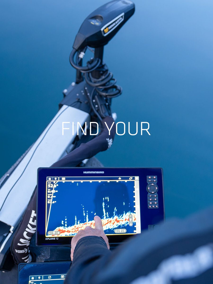 HumminbirdFish tweet media