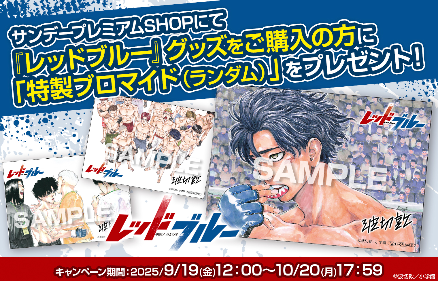 プレミアムサンデー 非売品 当選 週刊少年サンデー 限定500冊 抽プレ 非売品 當真あみ『週刊少年サンデー』「抽プレ」図書カード 買取 | 女性