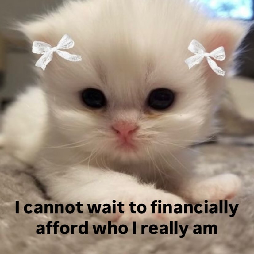 smol silly cat (@catsillyness) on Twitter photo 