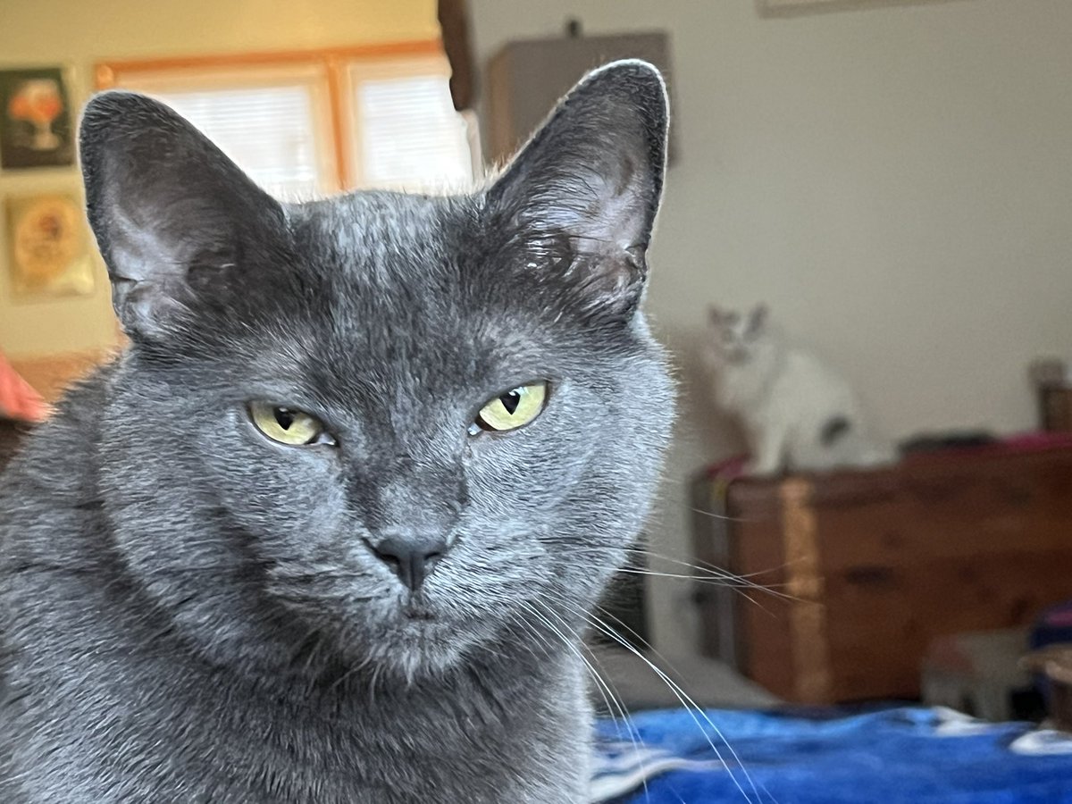 The Republicans literally made it very clear they were going to do everything they’re doing right now. And no one fucking listened.