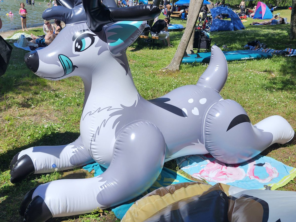 Eclipse🦌➡️LVFC/FWA/MP tweet media