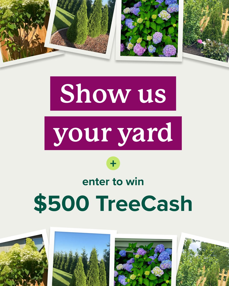 Upload a photo of your yard, garden, or favorite plant for a chance to win. 📸🌳

FIVE winning submissions will receive $500 TreeCash to use on your next planting project.

Enter to win → bit.ly/4pKC7gb

Terms &amp; conditions apply. No purchase necessary to enter.