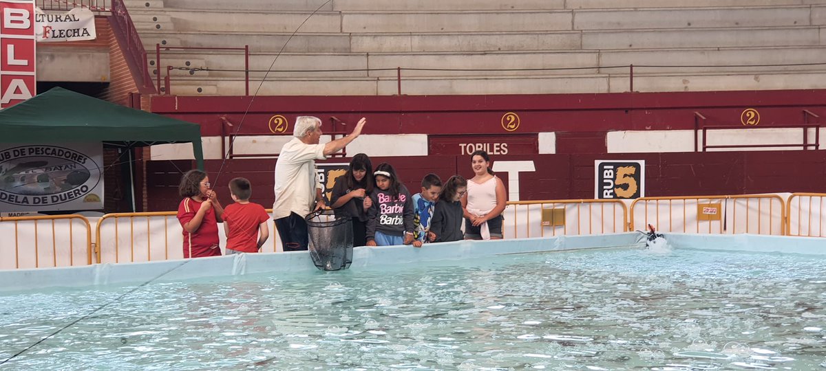 CEIPELVIRA's tweet image. Gracias al @AytoArroyo por invitarnos a disfrutar del Aula del Río!! #yosoydelelvira #megustamicole