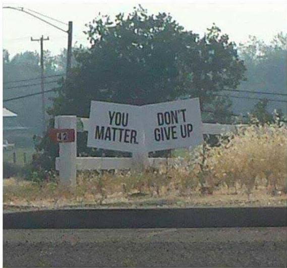 WholesomeMemes (@wholesomememe) on Twitter photo 