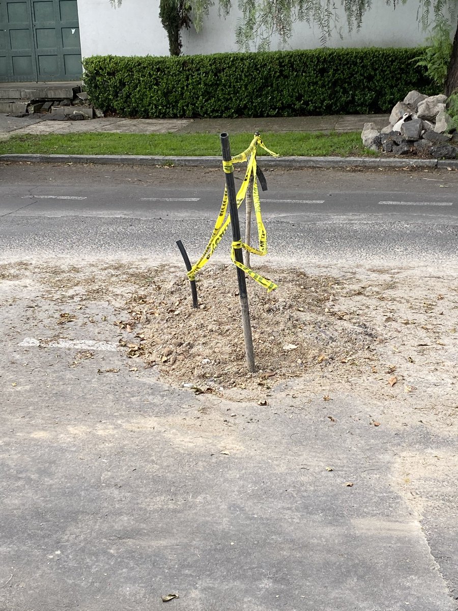 Hola, <a href="/JesusMartinMx/">Jesús Martín Mendoza Arriola</a>. ¿Cómo estás?
¿Recuerdas que pasaste a saludarme? Pos esta zona de la #MiguelHidalgo está como la #cdmx entera: llena de parches y baches. Esto tiene una semana. ¡Saludos!