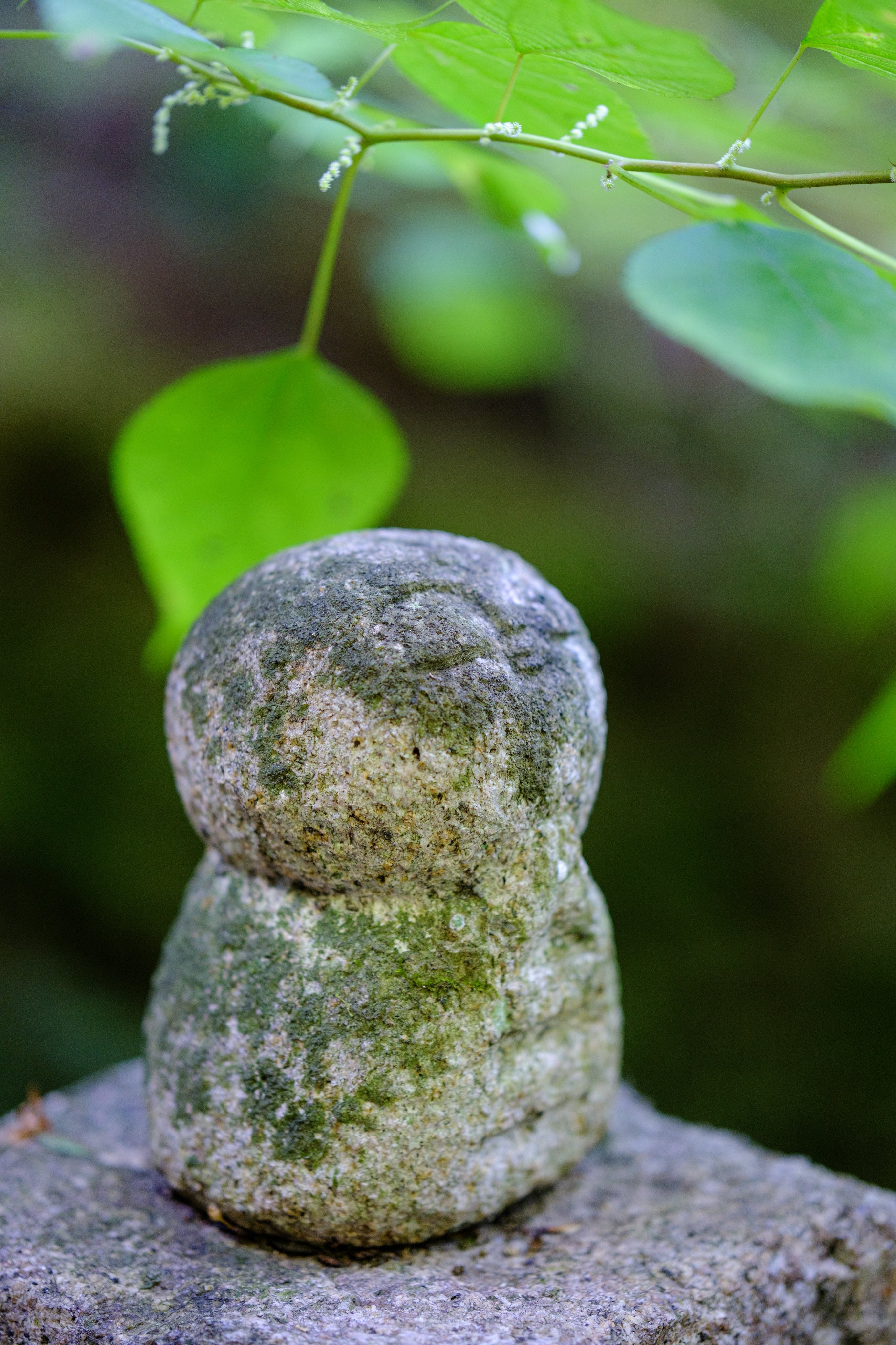 西国第七番 岡寺 on X: 