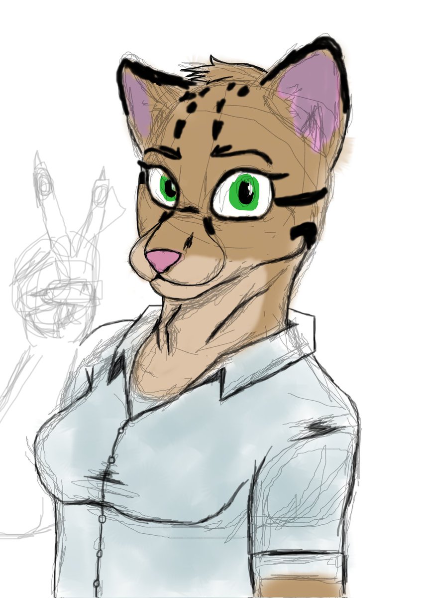 Charlatão Raivoso 🇧🇷 tweet media