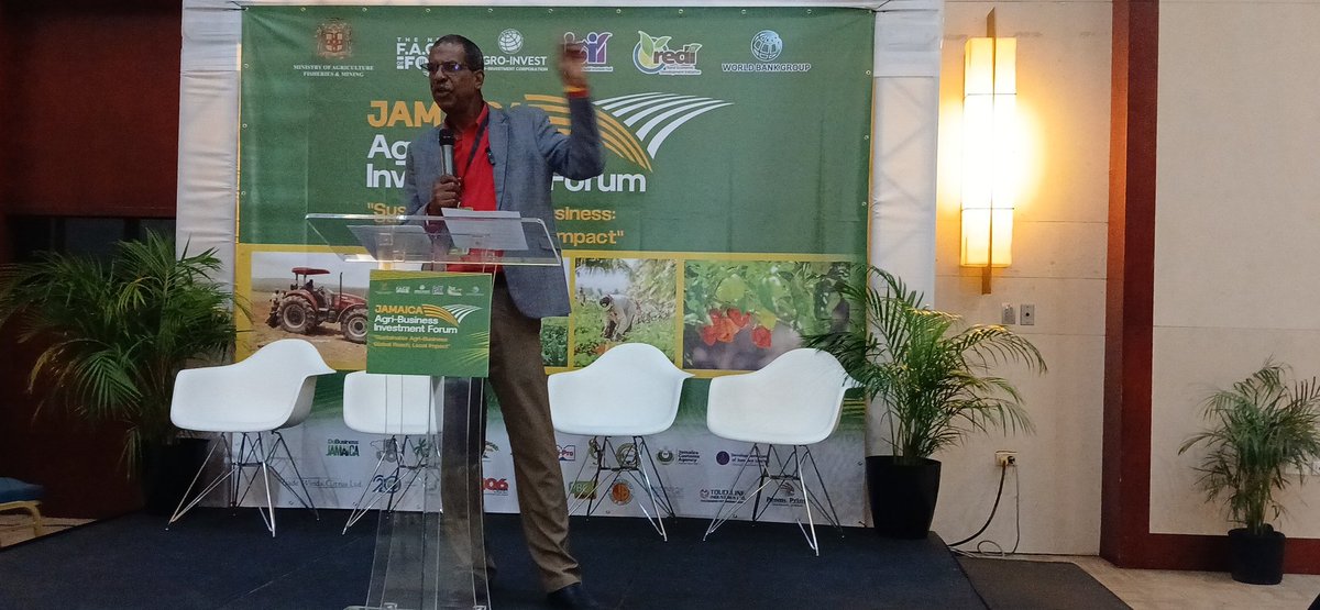 Tilapia production is one of the most immediate and scalable opportunities in jamaica. There is local and regional demand for tilapia. 
Dr. Gavin Bellamy, CEO NFA