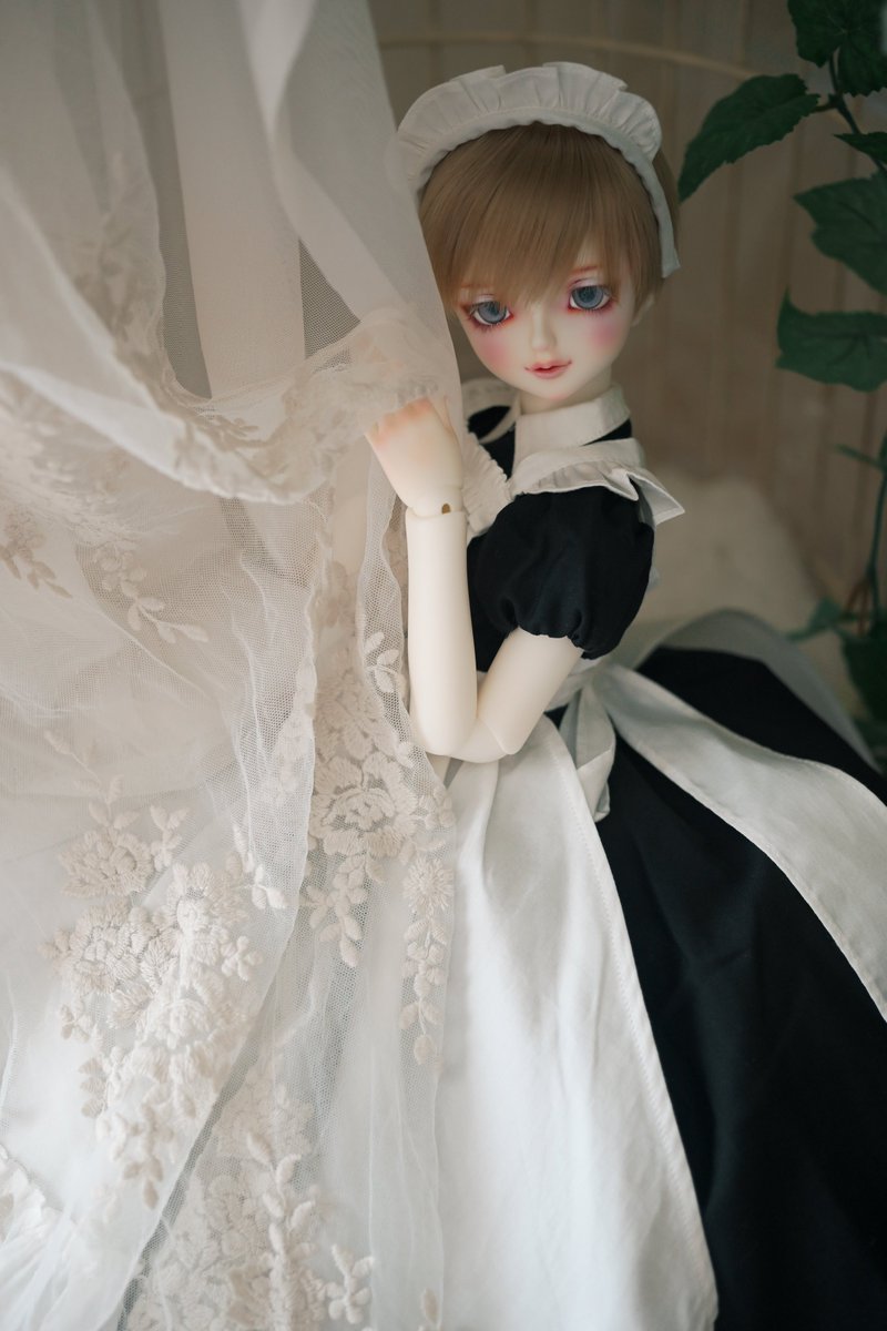 雨が上がって涼しい朝になりました🌂🌿
金曜日、気をつけて行ってらっしゃい✨