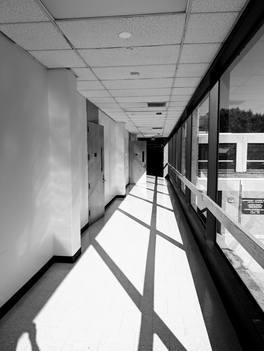 Wayward Studios tweet media