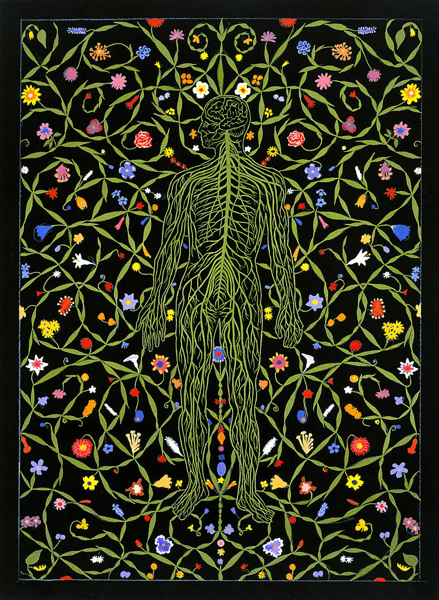 kimianora's tweet photo. What is a Dysregulated Nervous System anyway?
It's when the brain and body get stuck in a chronic loop of stress response (fight-flight-freeze).
Instead of being able to move into stress and then return to calm, the system loses its flexibility and stress resilience: https://t.co/SIntjSF4md