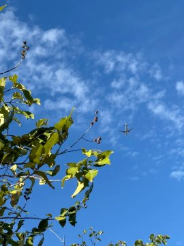 hammo2014's tweet image. Walking into the day with positivity and purpose. 🚶‍♀️