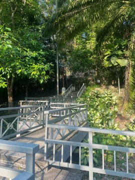 hammo2014's tweet image. Walking into the day with positivity and purpose. 🚶‍♀️