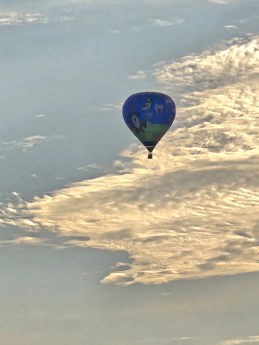 WinterWitch tweet media