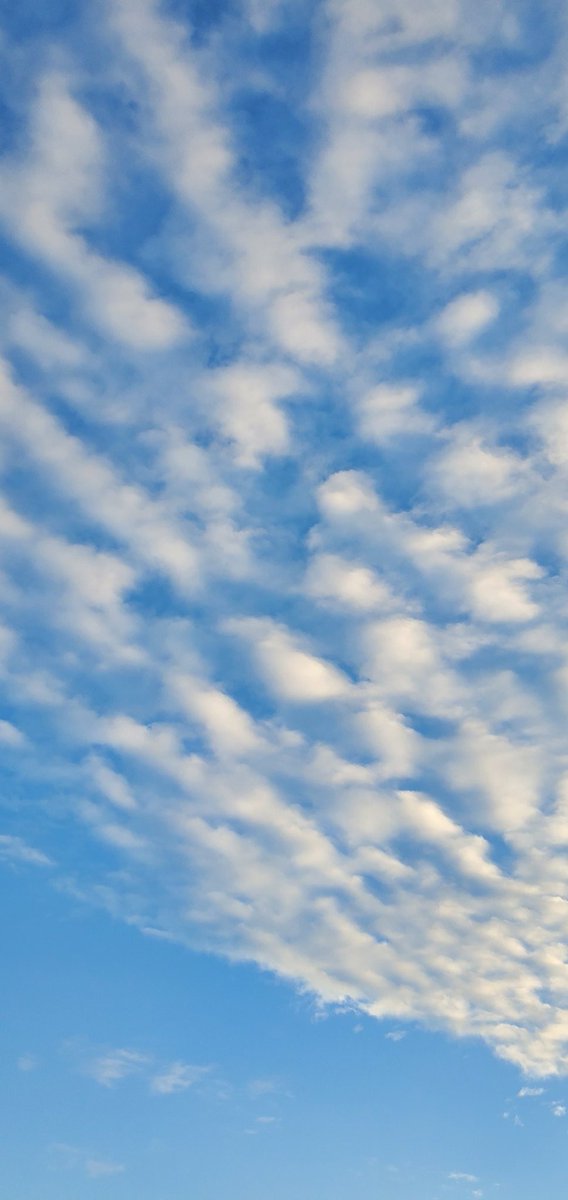 hinata13ms's tweet photo. おはようございます
今朝は少し気温が低い？
体感です…。

#イマソラ
#スマホ写真
#写真好きな人と繋がりたい https://t.co/CyttDtpONE