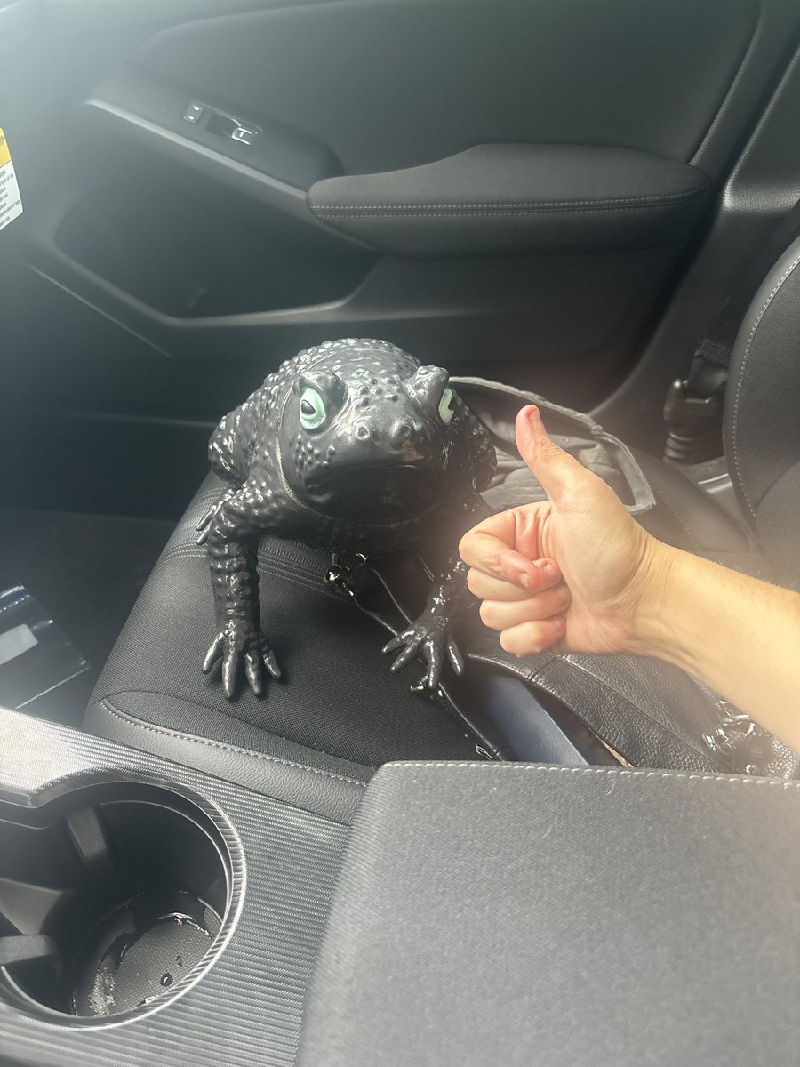p0odleman's tweet photo. Buying this fucking frog was the best choice for my happiness https://t.co/0FVxSaViXF