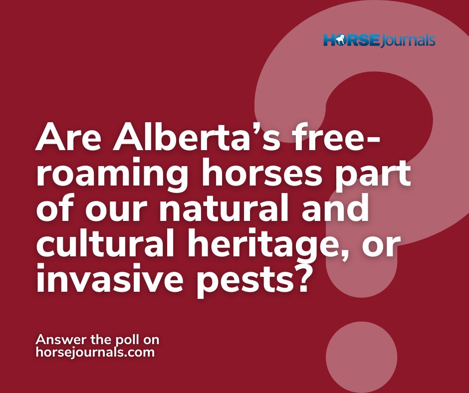 We're keeping the conversation going about Alberta’s free-roaming horses 🐴 Do you feel they are a part of our natural and cultural heritage or invasive pests?

Answer the poll 🔗 horsejournals.com/poll/are-alber…
