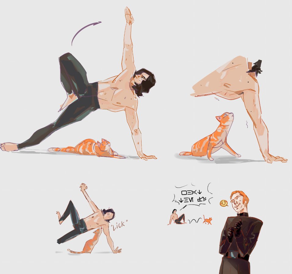 Collophora tweet media