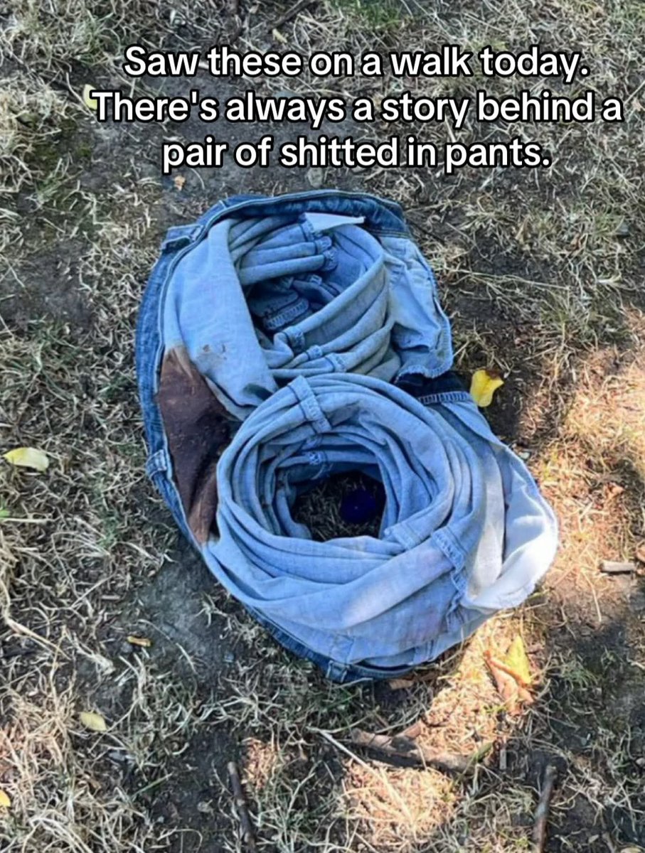 notrobbob tweet media