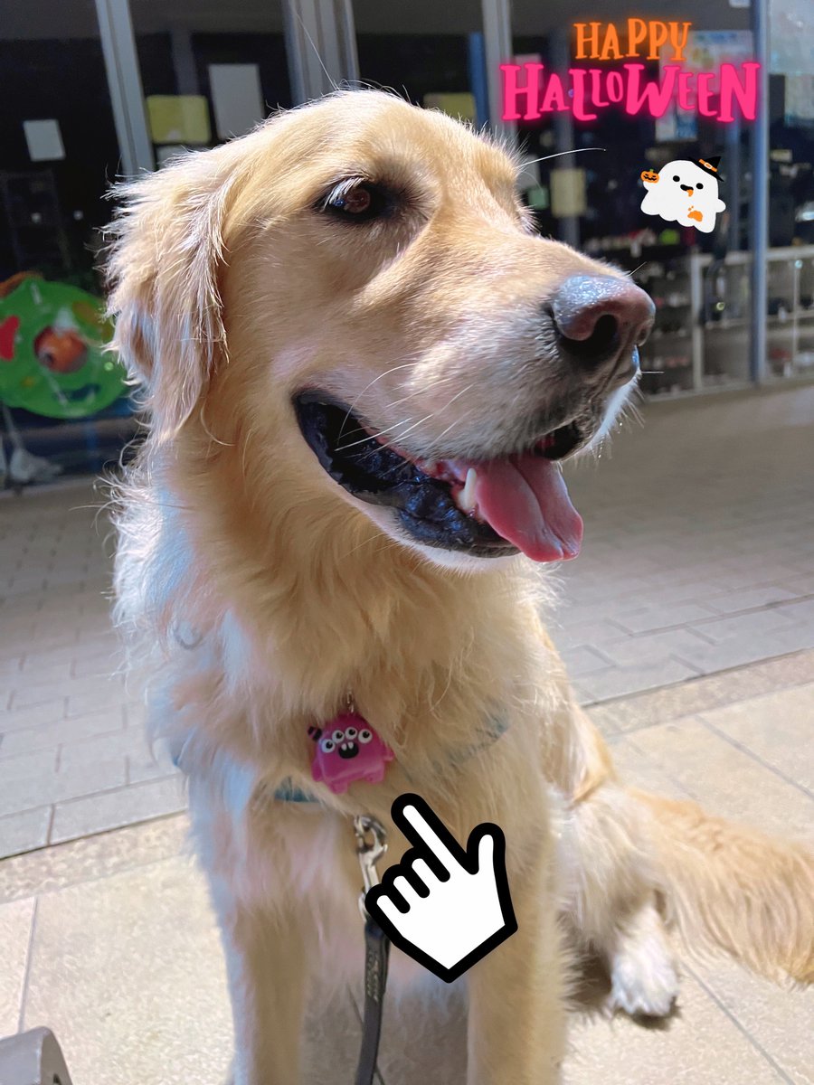 セナ☆ｺﾞｰﾙﾃﾞﾝﾚﾄﾘﾊﾞｰ (@lovetaemin1924) / Posts / X