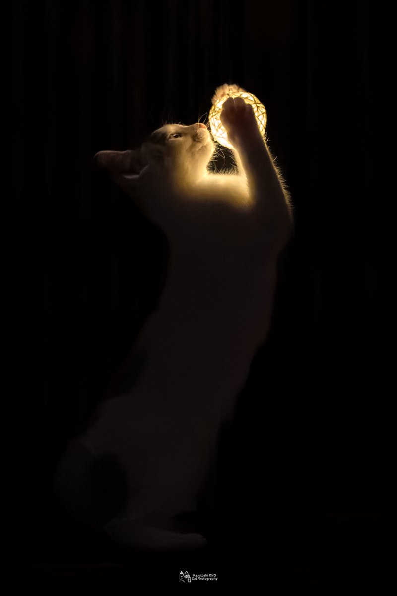 Hope