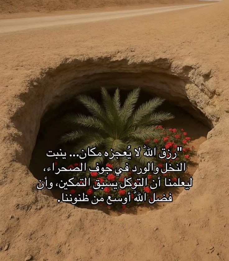 almsllim's tweet image. 