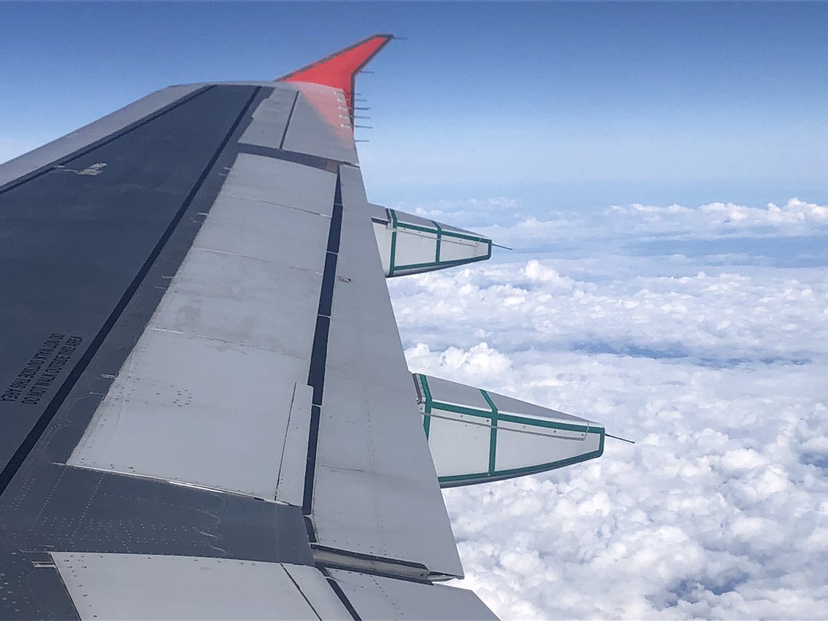 Domenic Fazioli (@domenicfazioli) on Twitter photo 