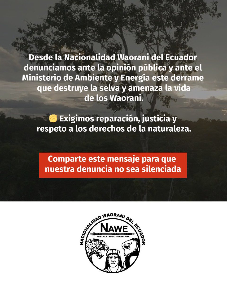 Nacionalidad Waorani del Ecuador-NAWE tweet media