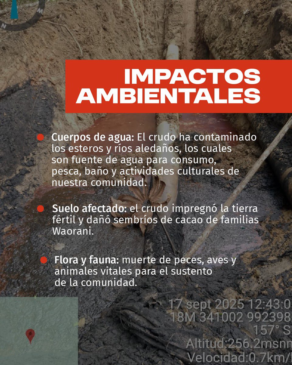 Nacionalidad Waorani del Ecuador-NAWE tweet media