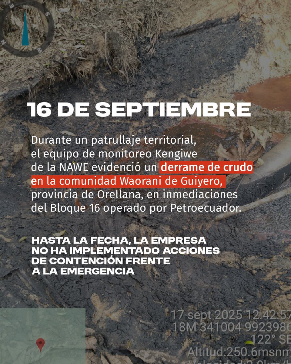 Nacionalidad Waorani del Ecuador-NAWE tweet media