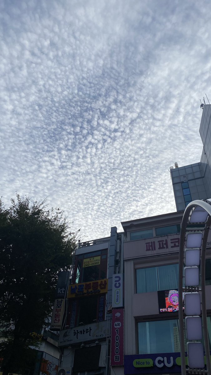 のんたろう tweet media