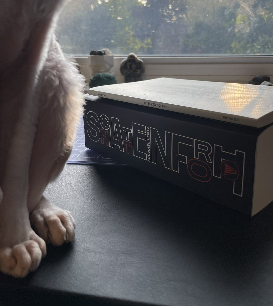 Shot // Chaser (beast for scale)
