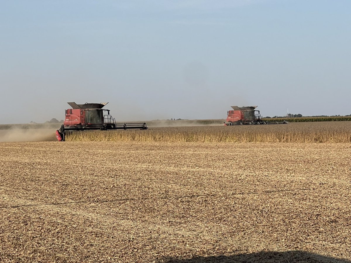 Brent Johnson tweet media