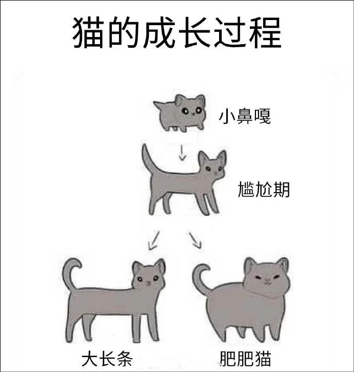 雲鳩 (@cldeop) on Twitter photo 